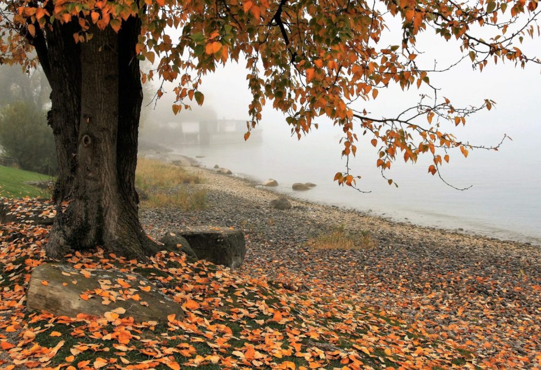 otoño