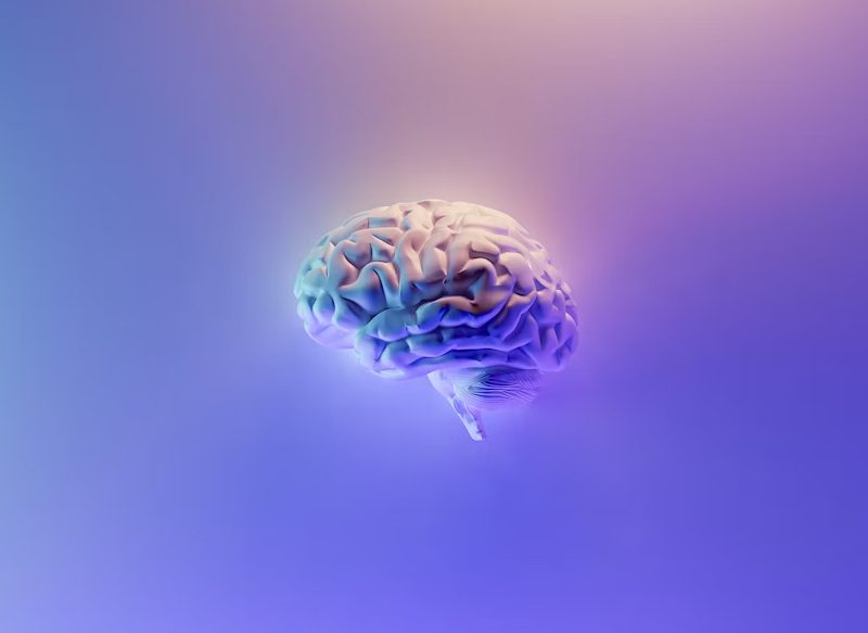 LA OMS INSISTE EN LA IMPORTANCIA DE ENTRENAR LA MEMORIA