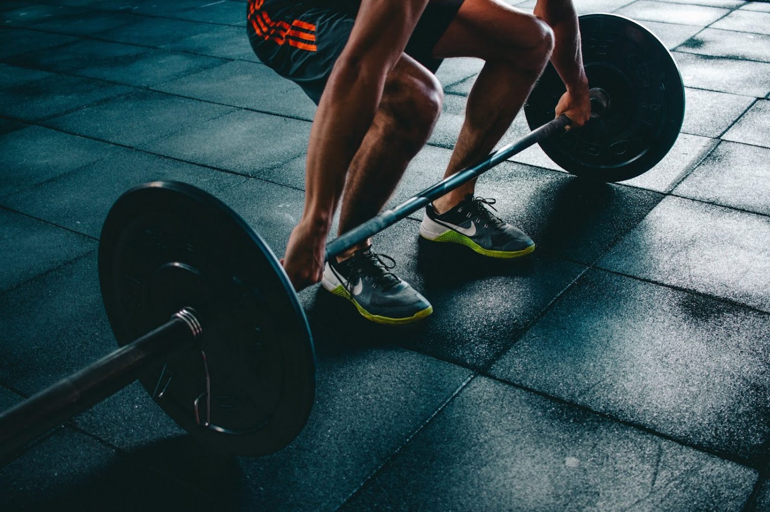 entrenamiento de fuerza 3 gimnasio