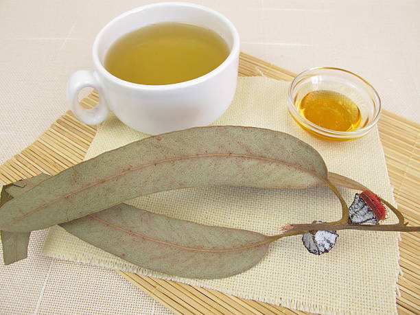 infusion de eucalipto