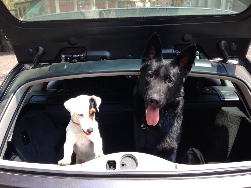 reglamento general de circulacion