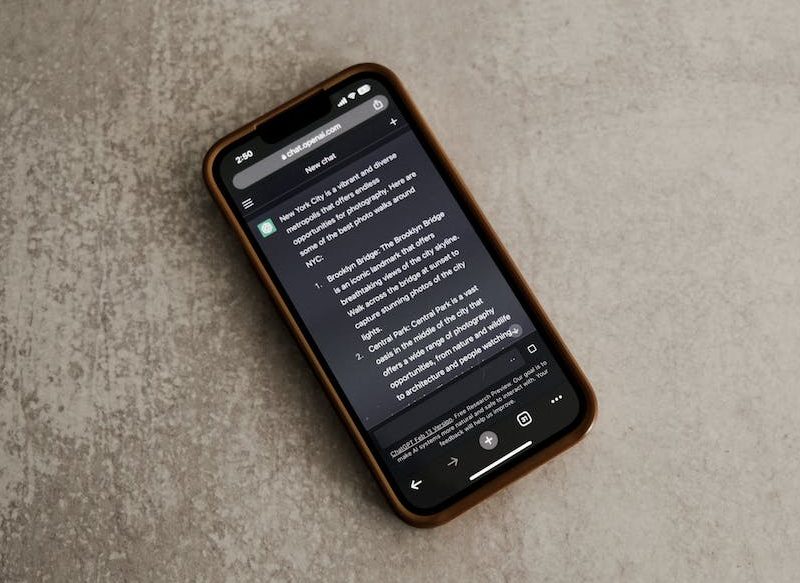 ¿ES UN RIESGO PARA LA SEGURIDAD?