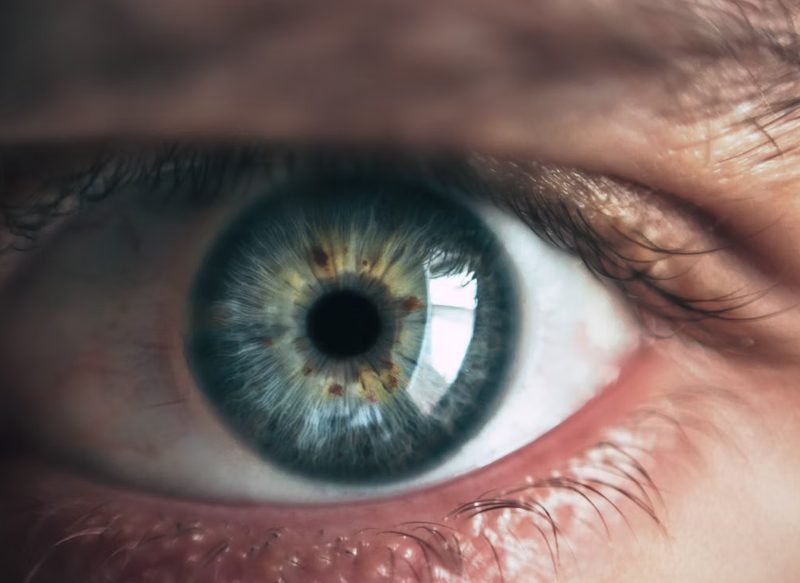 INFUSIÓN DE SEMILLAS DE HINOJO PARA COMBATIR LA IRRITACIÓN OCULAR