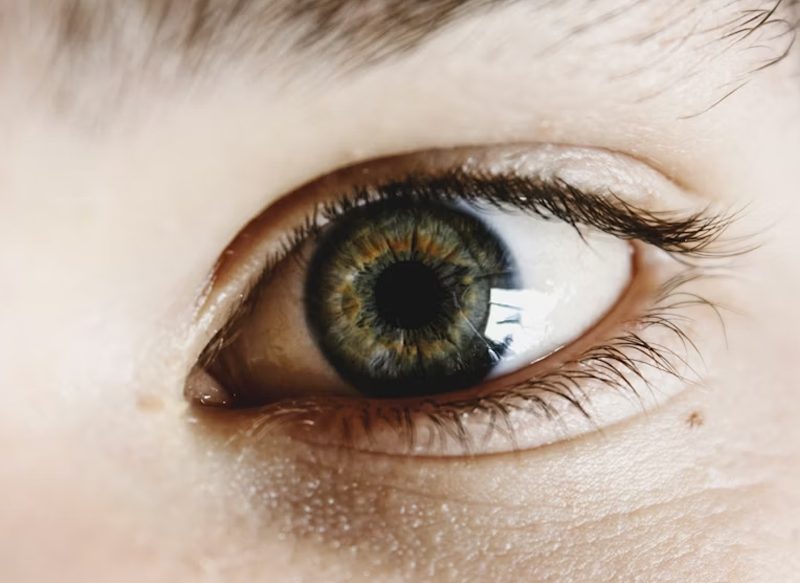 PREPARACIÓN Y APLICACIÓN