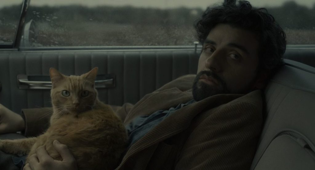 Recomendaciones para viajar con mascotas en coche según Ley de Bienestar Animal 3 Moncloa Llewyn Davis 1 Moncloa