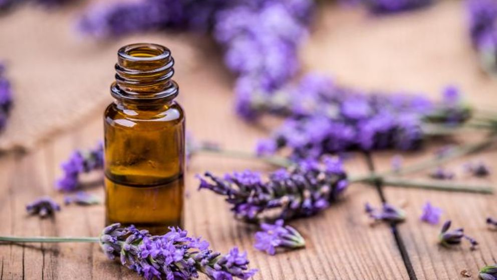 aceite de lavanda piojos