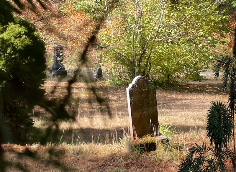 LA IA SE SUPERA CADA DÍA