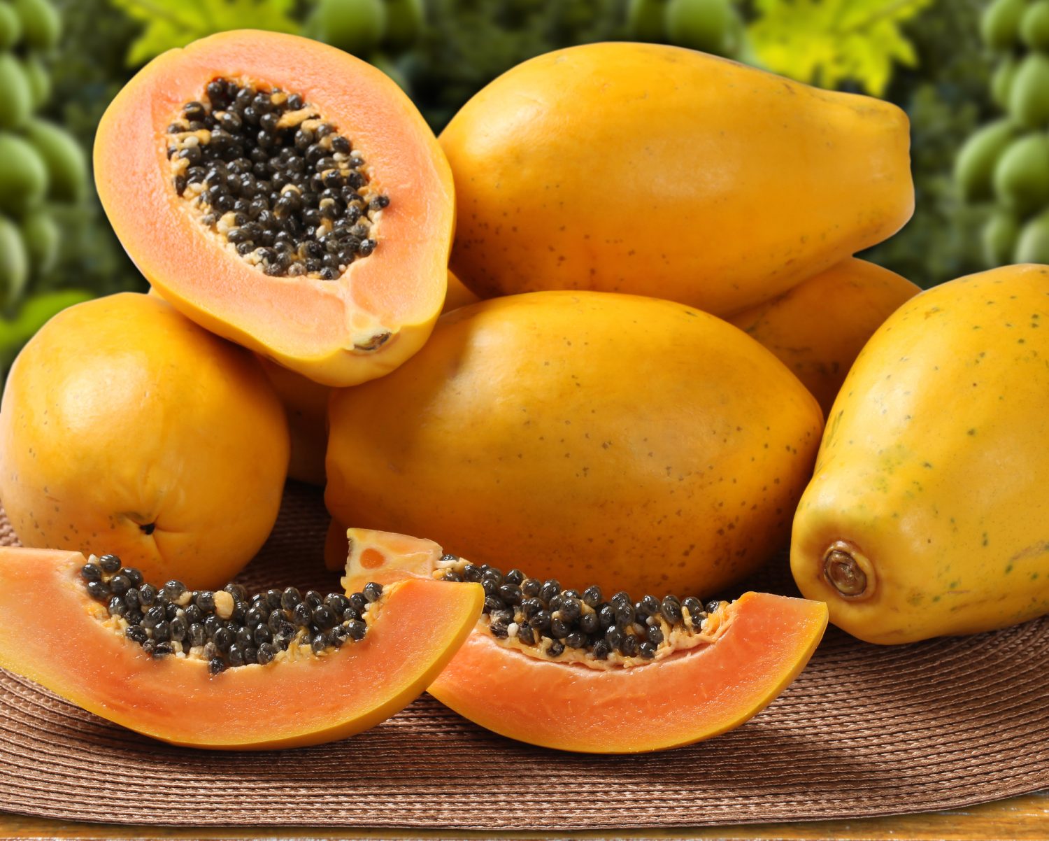 papaya 1 papaya