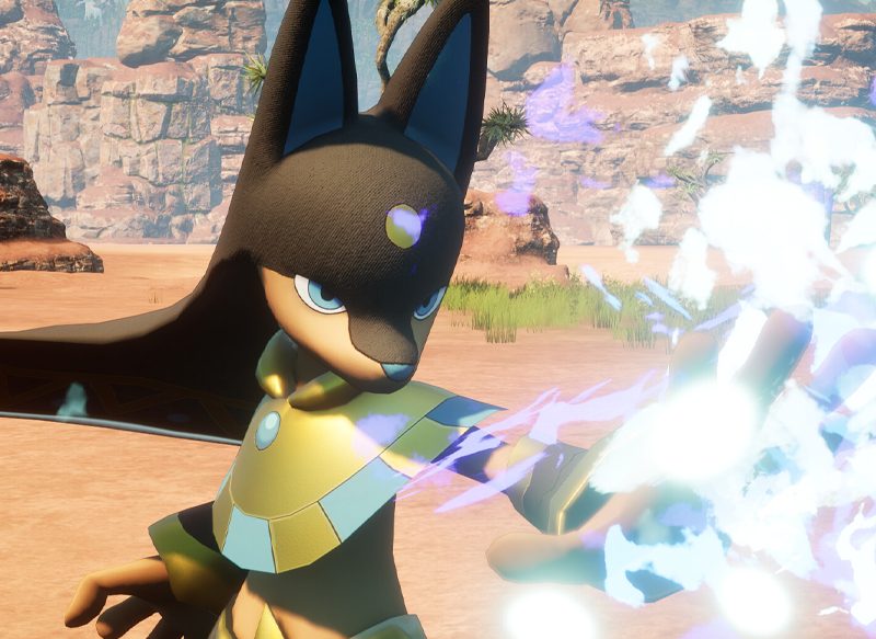 113 PALS PARA CAPTURAR