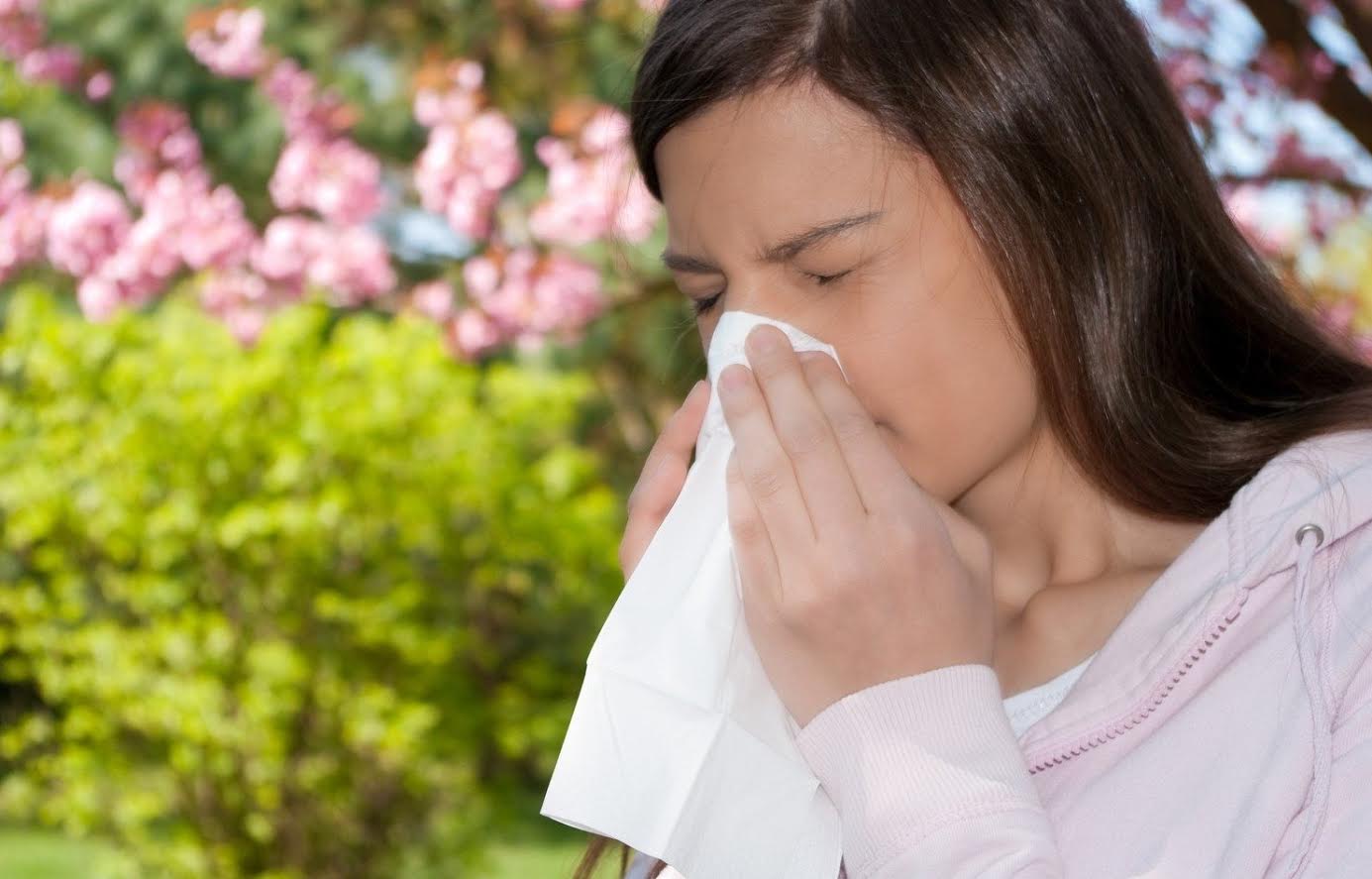Alergias rintis 1 Sinusitis o Alergias: Descubre por qué confundirlas puede arruinar tu día