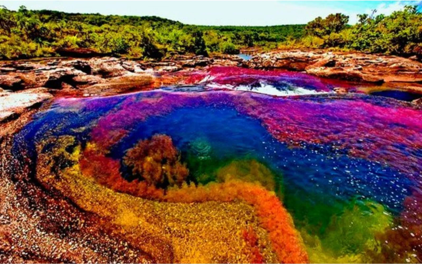 Caño Cristales, joya natural en Latinoamérica: un paraíso que despierta los sentidos y asombra con colores vibrantes 4 Moncloa DINAMISMO CULTURAL EN EL ENTORNO DE CAÑO CRISTALES