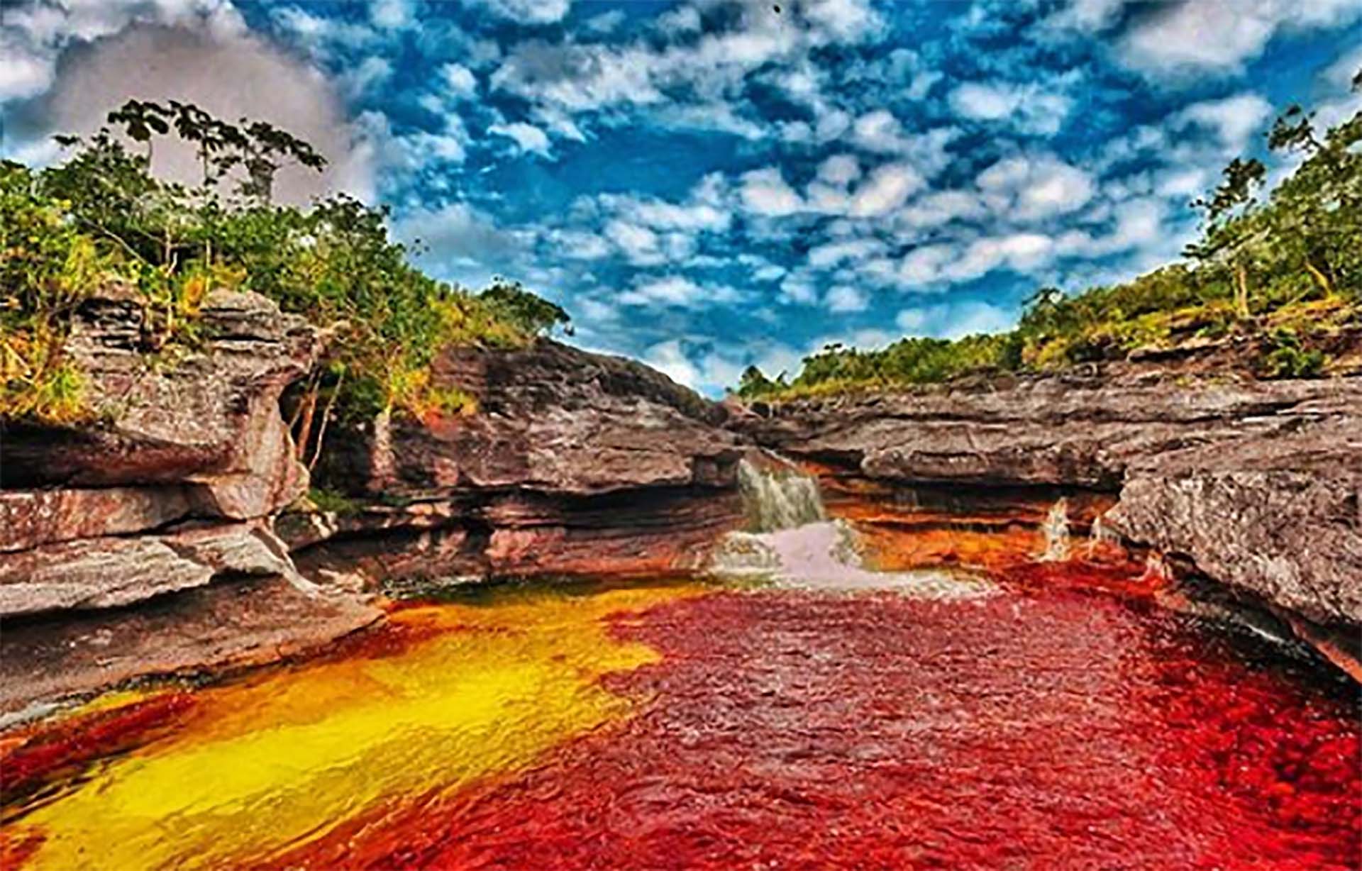 Caño Cristales, joya natural en Latinoamérica: un paraíso que despierta los sentidos y asombra con colores vibrantes 2 Moncloa UN VIAJE SENSORIAL POR CAÑO CRISTALES