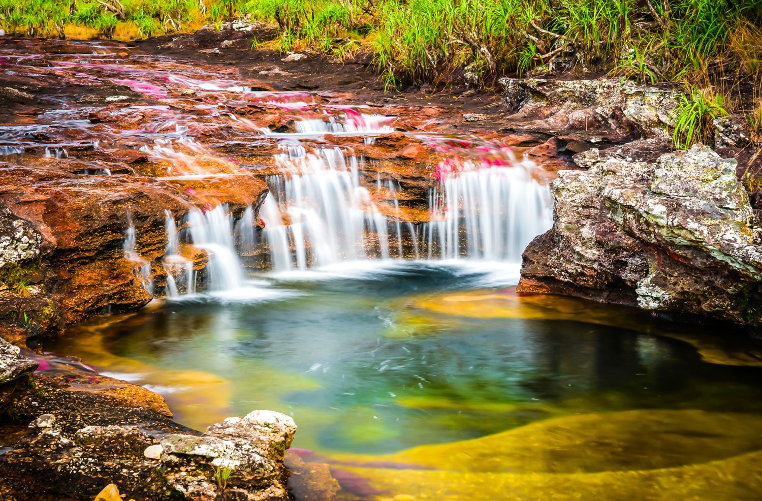Caño Cristales