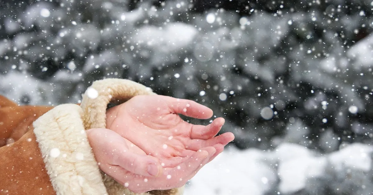 Recupera la suavidad de tus manos en invierno con nuestros efectivos y naturales remedios caseros. ¡Bienestar asegurado!