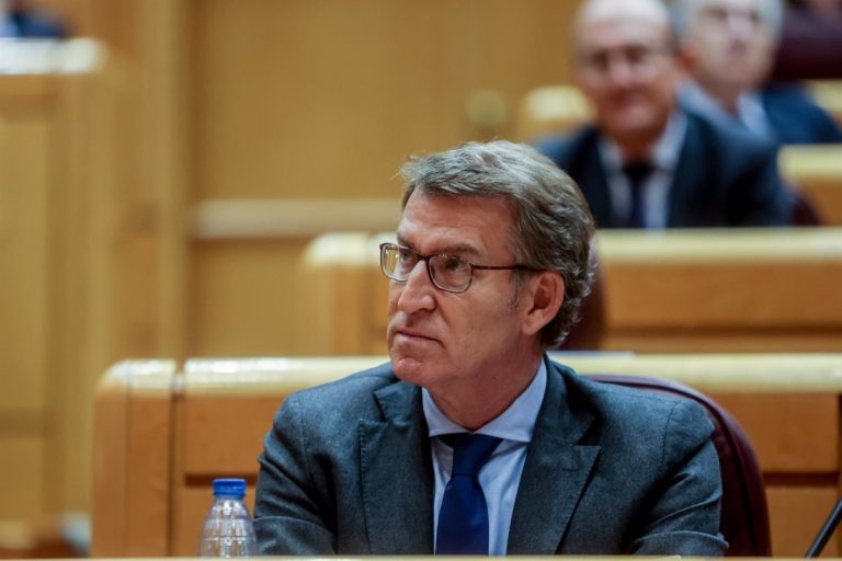 Feijóo alerta del ‘impacto enorme’ de las nacionalizaciones de la Ley de Nietos en los servicios públicos