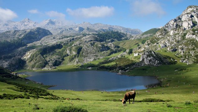 CULTURA Y TRADICIÓN