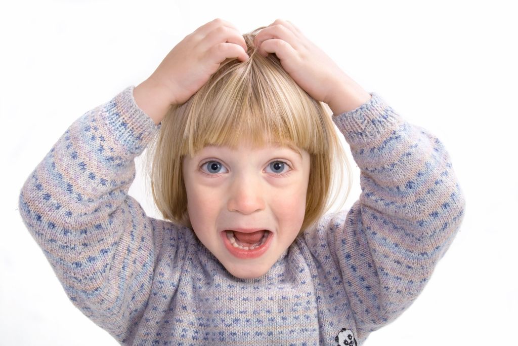 Descubre 5 efectivos remedios caseros contra los piojos, una solución experta y natural para combatir infestaciones capilares 1 Moncloa piojos 3 Moncloa