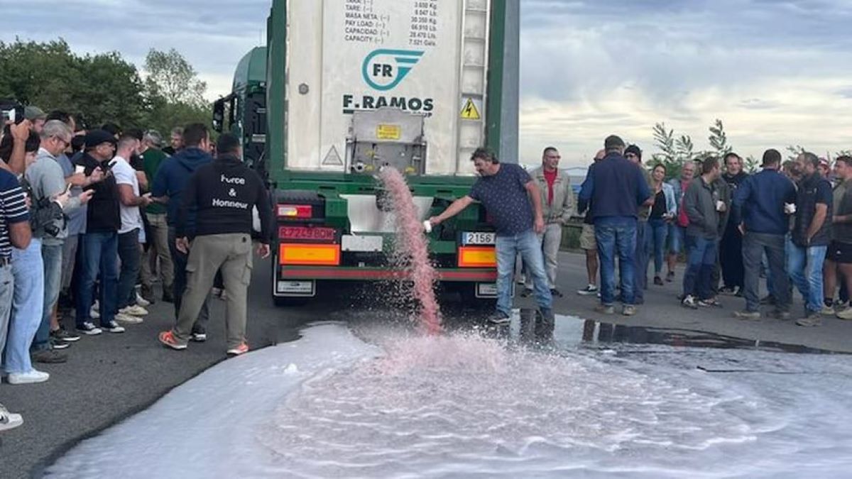 Adiós a los precios abusivos en bares: el truco de Mercadona con sus platos preparados que genera polémica 1 Moncloa competencia desleal hostelería