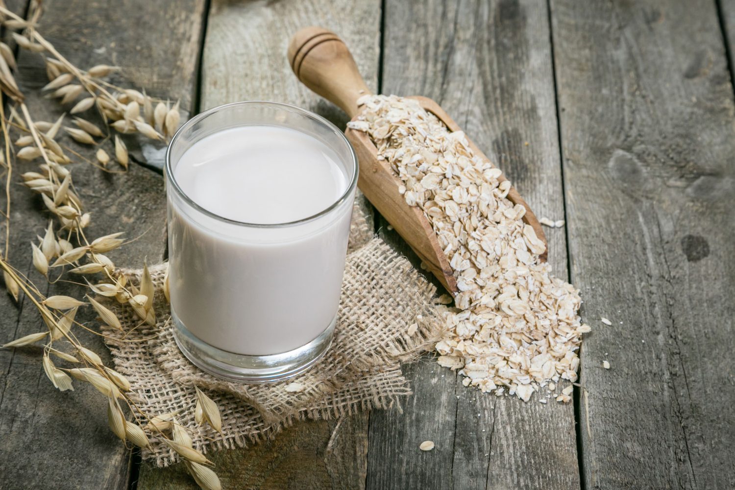LECHE DE AVENA 1 avena