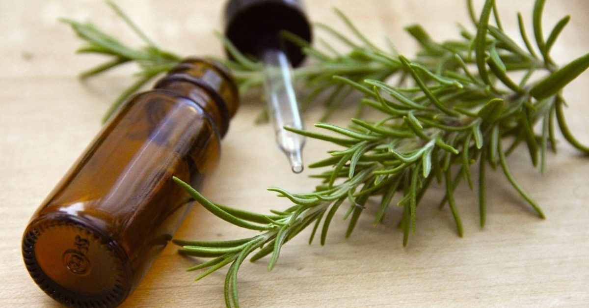 Despídete de las canas en 3 días con este remedio casero 1 Moncloa ROMERO, SALVIA Y TÉ VERDE: EL TRÍO PROMETEDOR