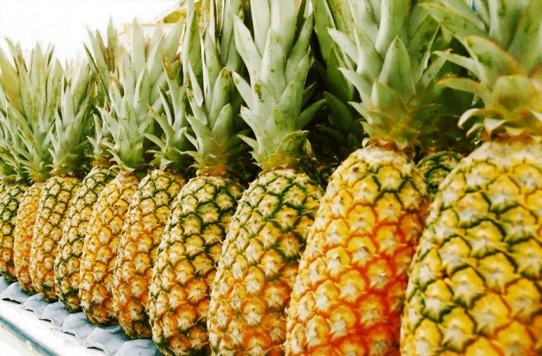 PIÑA: EL PODER DE LA BROMELINA