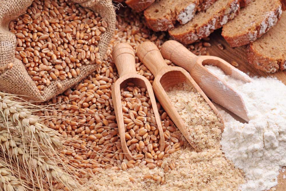 La OCU lo ha revelado: estos son los cereales más saludables para tus hijos 1 Moncloa Cereales integrales Moncloa