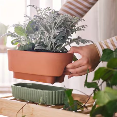 maceta autorriego beneficios