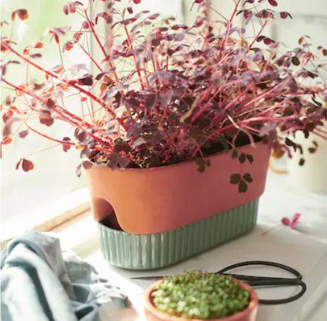 maceta autorriego diseno