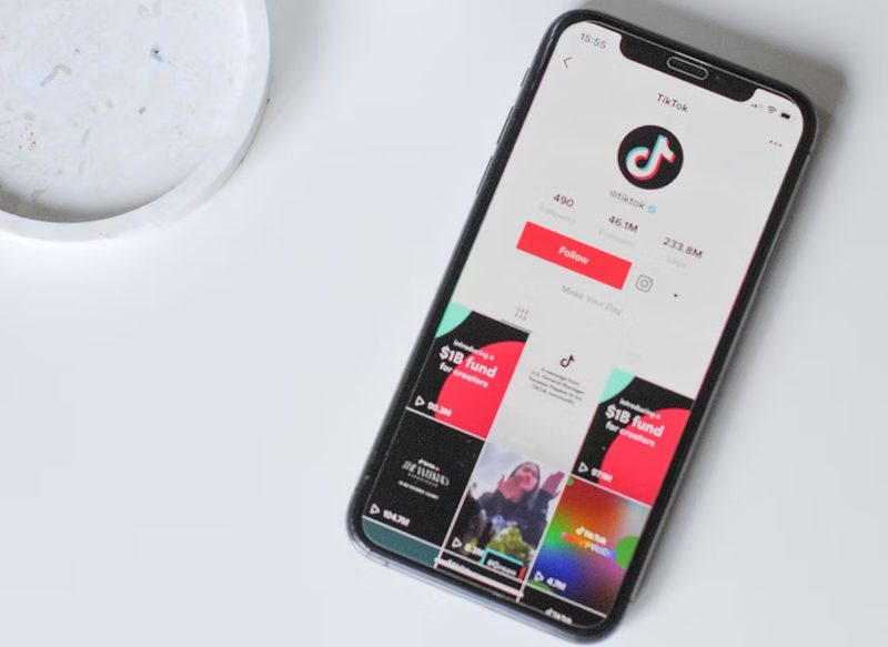 ¿CUÁNDO LLEGARÁ TIKTOK NOTES?