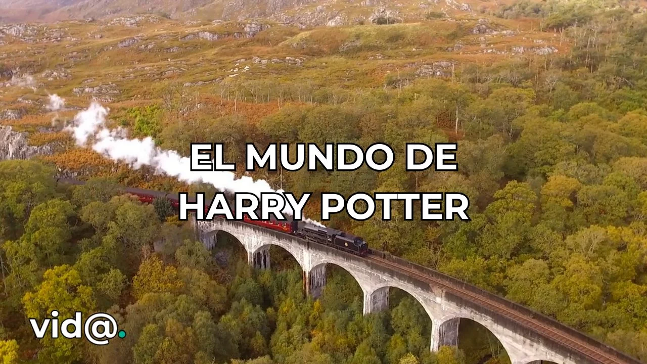 MINIATURA 2903- el mundo de harry potter