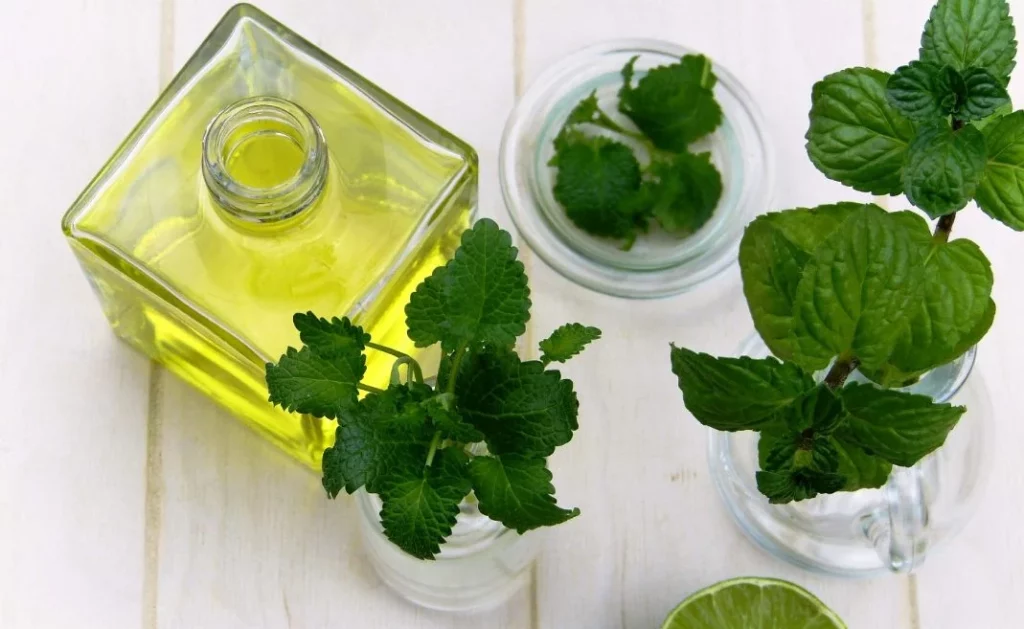 Remedio casero y efectivo para combatir el mal aliento 2 Moncloa Así puedes preparar un enjuague bucal con menta