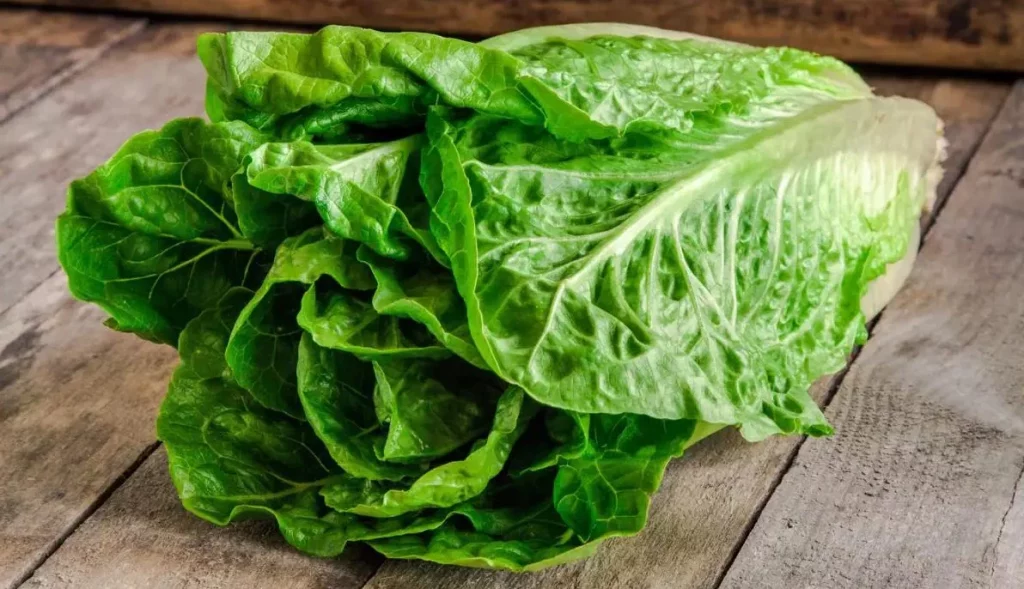 Deja atrás la ansiedad con este tratamiento naturista que puedes cumplir desde casa 1 Moncloa Así puedes combatir la ansiedad de forma natural