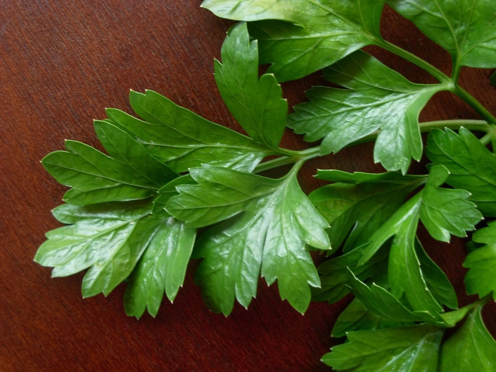 PRECAUCIONES Y RECOMENDACIONES