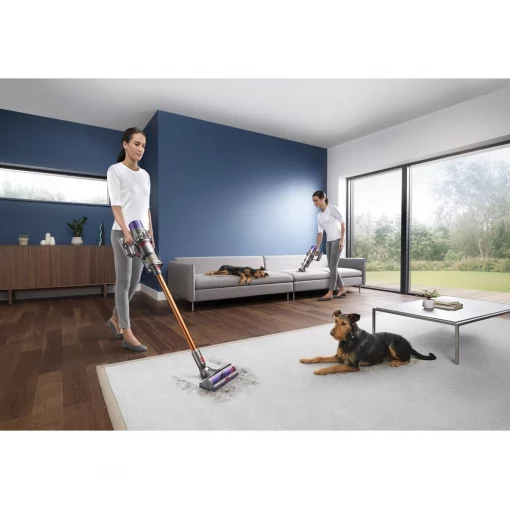 potencia y autonomia dyson v10