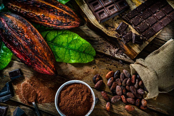 Los 5 mejores superalimentos para un sistema inmunológico fuerte 2 Moncloa El cacao y el desarrollo de la flora intestinal