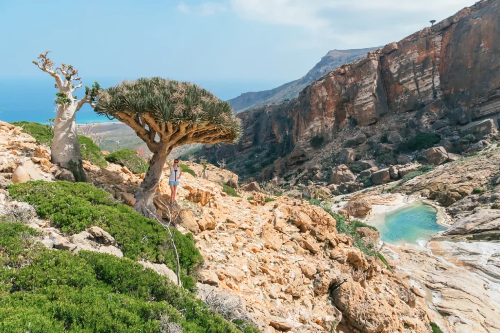 Explora la isla de Socotra: Un destino turístico alienígena 1 Moncloa ISLA DE SOCOTRA: BIODIVERSIDAD ÚNICA