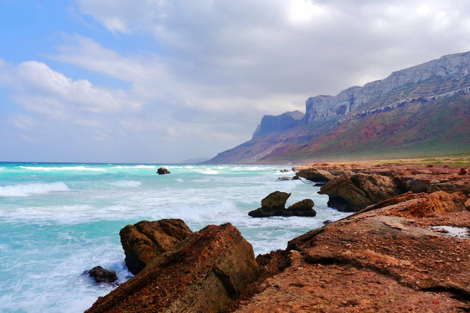 Explora la isla de Socotra: Un destino turístico alienígena 3 Moncloa Isla de Socotra 2 Moncloa