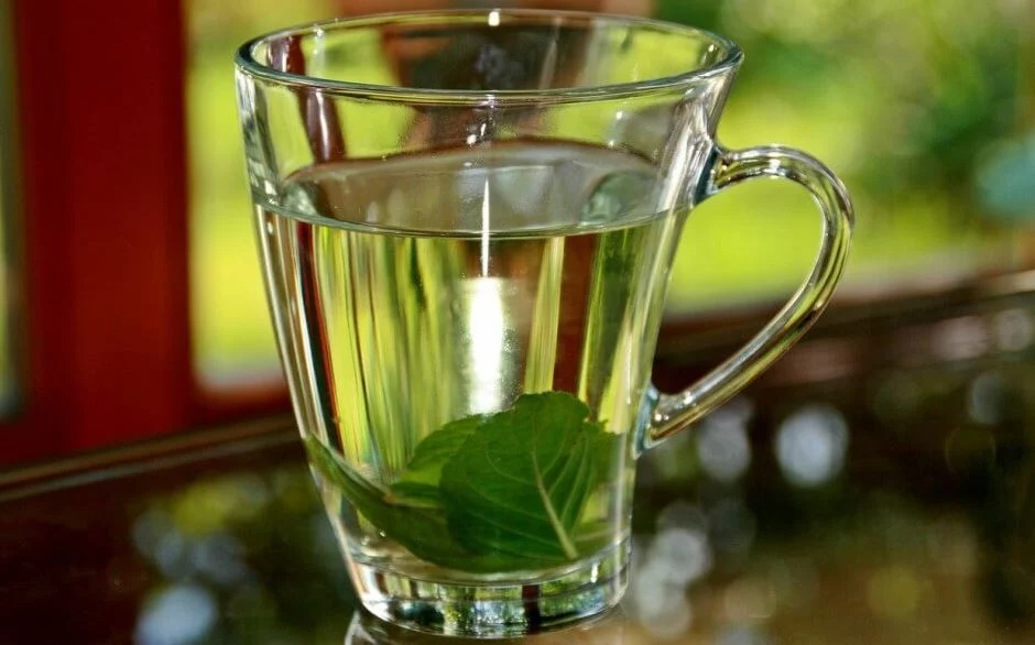 Adiós migrañas con este té milagroso que tiene poderes antiinflamatorios 1 Moncloa ¿Por qué es bueno el té de albahaca para las migrañas?