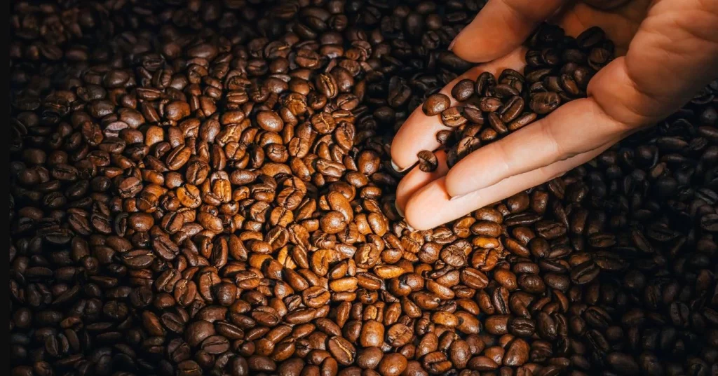 Torrado o tostado: este es el café que está arruinando tu salud 1 Moncloa ¿Debemos elegir café tostado o torrado?