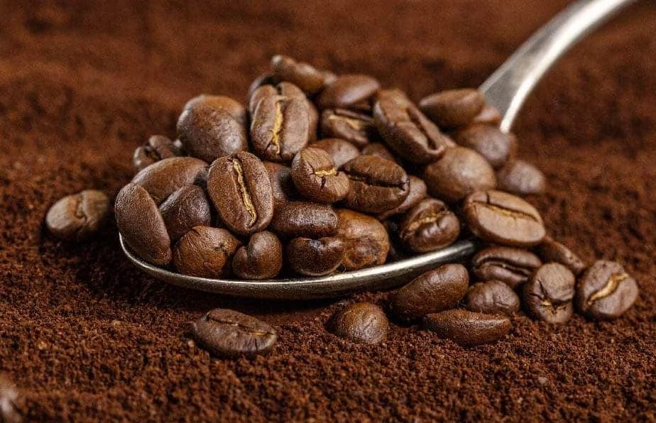 Torrado o tostado: este es el café que está arruinando tu salud 2 Moncloa ¿Cuál café es más sano?