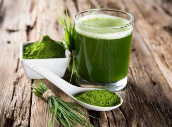 El superalimento que te ayudará a acabar con el burnout y llevar una vida más feliz 1 Moncloa ¿Cómo ingerir este superalimento?