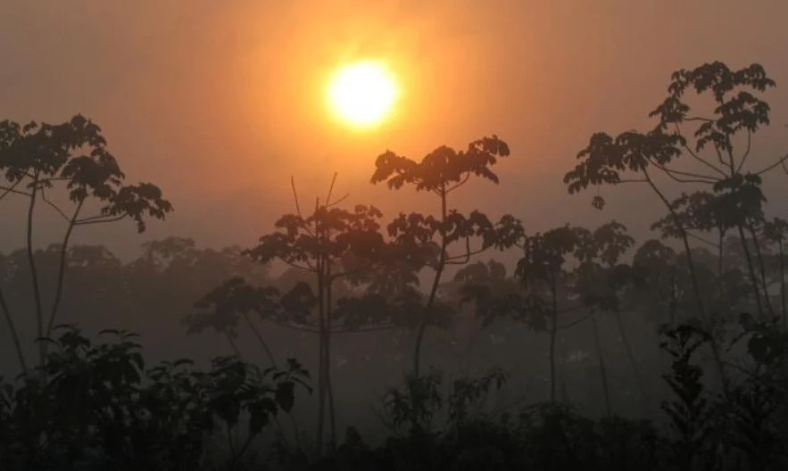 Científicos encienden las alarmas por el cambio climático 1 Moncloa EuropaPress 6006720 bosque tropical Moncloa