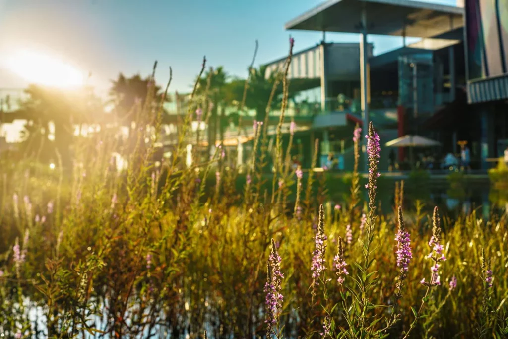 EuropaPress 6007582 clientes visiten miercoles shopping resort suban ticket compra app Moncloa