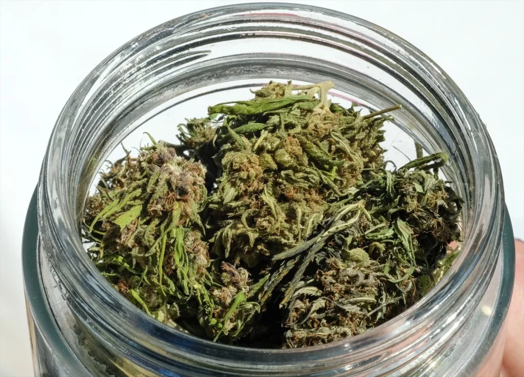 EuropaPress 6029852 filed 02 april 2019 berlin dried hemp buds can be seen in glass jar at the Moncloa