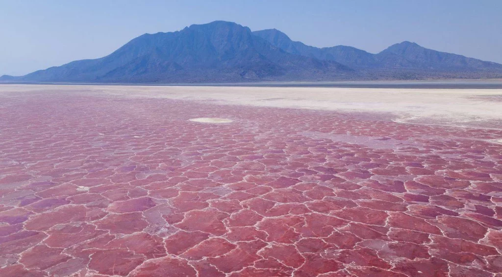 Los 3 lugares del mundo donde jamás deberías nadar por razones inexplicables 1 Moncloa Más lugares en los que no deberías ingresar