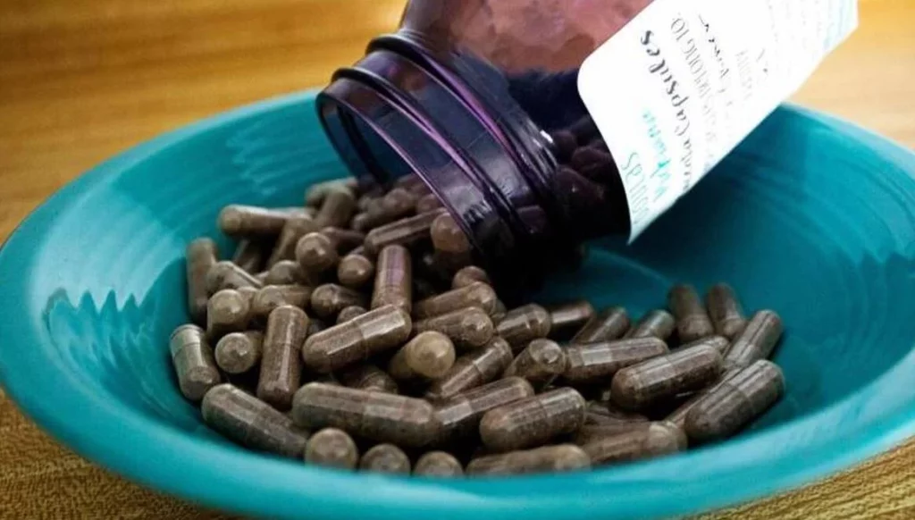 ¿Comer la placenta tras el parto es seguro? Descubre lo que dice la ciencia 1 Moncloa ¿Es buena idea consumir la placenta después del parto?