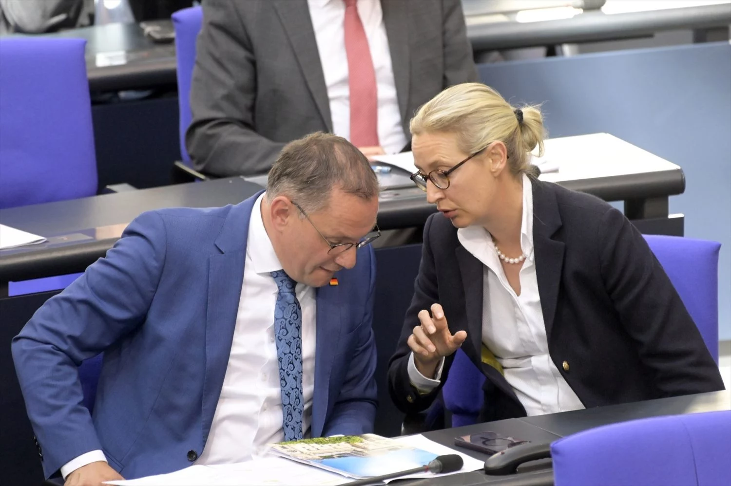 Alice Weidel