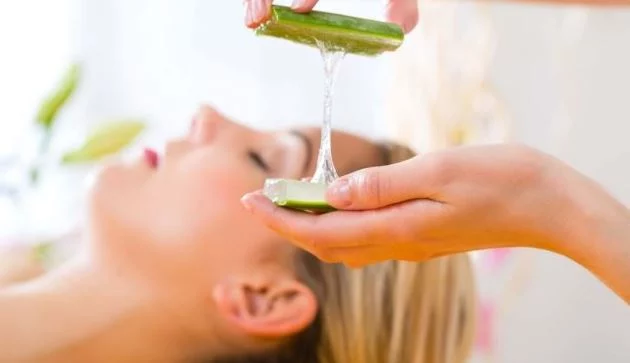 El peligro del aloe vera que pocos conocen y podrían poner en peligro tu salud 2 Moncloa ¿Cómo usar el aloe vera de forma segura?