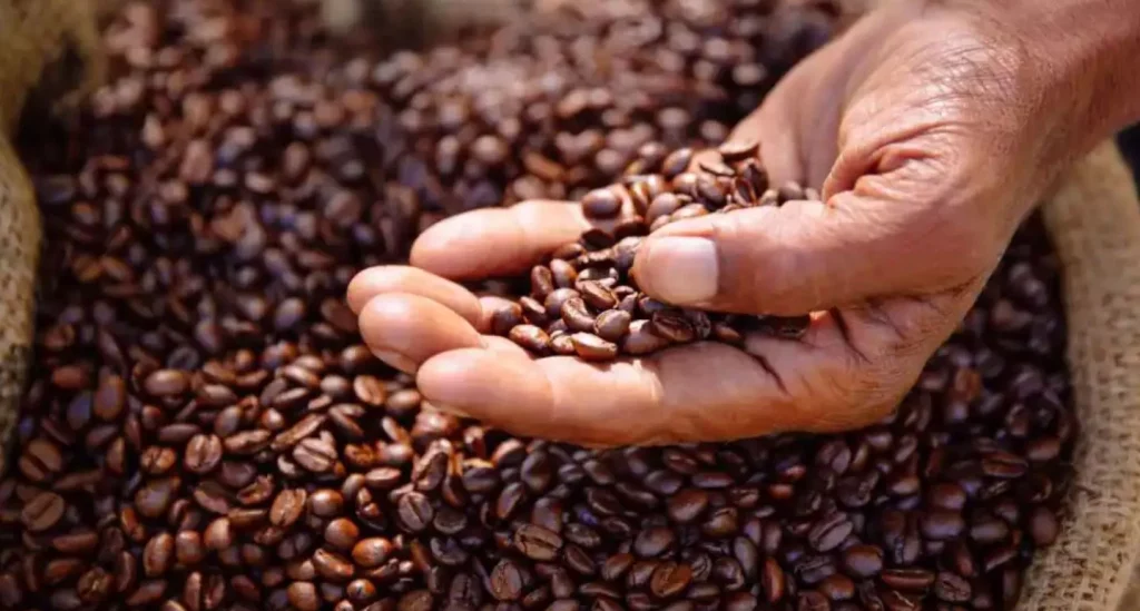 El café del supermercado que un médico te aconseja evitar 1 Moncloa ¿Por qué es peligroso tomar café torrefacto?