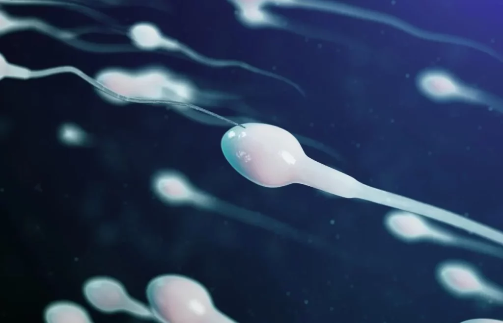 Si tu esperma luce de esta manera podría ser una señal de alarma 2 Moncloa Otras características del esperma que debes evaluar